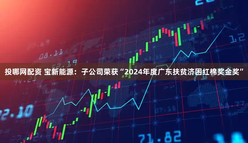 投哪网配资 宝新能源：子公司荣获“2024年度广东扶贫济困红棉奖金奖”