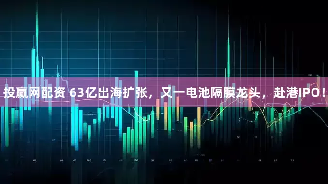 投赢网配资 63亿出海扩张，又一电池隔膜龙头，赴港IPO！