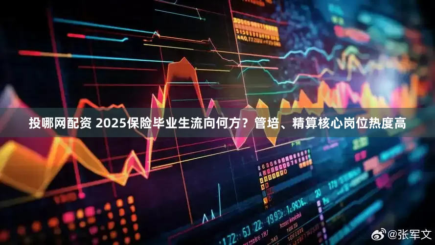 投哪网配资 2025保险毕业生流向何方？管培、精算核心岗位热度高