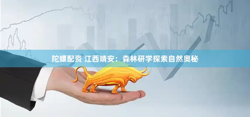 陀螺配资 江西靖安：森林研学探索自然奥秘