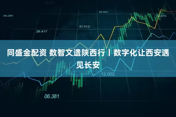 同盛金配资 数智文遗陕西行丨数字化让西安遇见长安