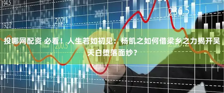 投哪网配资 必看！人生若如初见：杨凯之如何借梁乡之力揭开吴天白堕落面纱？