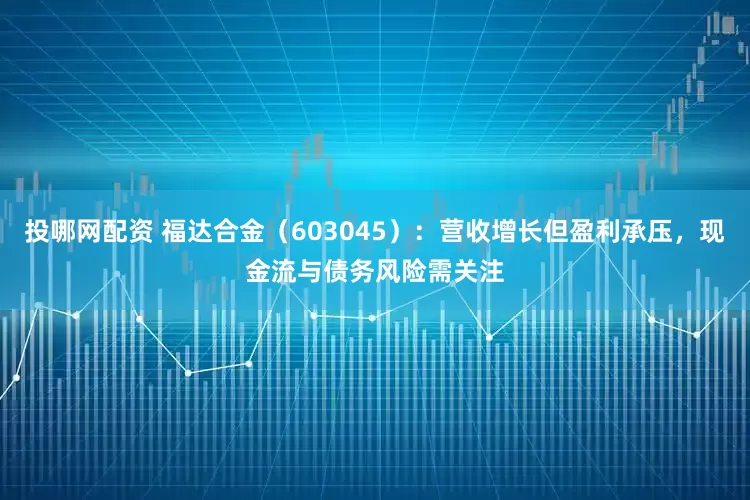 投哪网配资 福达合金（603045）：营收增长但盈利承压，现金流与债务风险需关注
