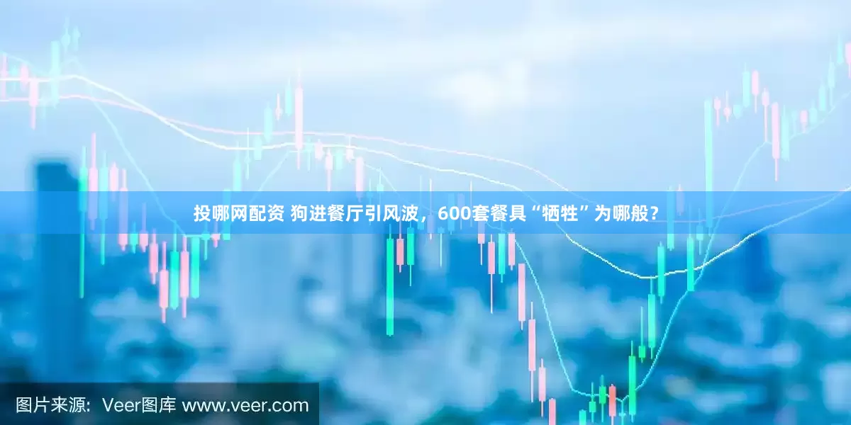 投哪网配资 狗进餐厅引风波，600套餐具“牺牲”为哪般？