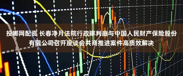 投哪网配资 长春净月法院行政审判庭与中国人民财产保险股份有限公司召开座谈会共商推进案件高质效解决